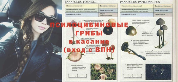 альфа пвп Верхнеуральск