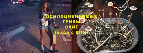 молекула духа Верея