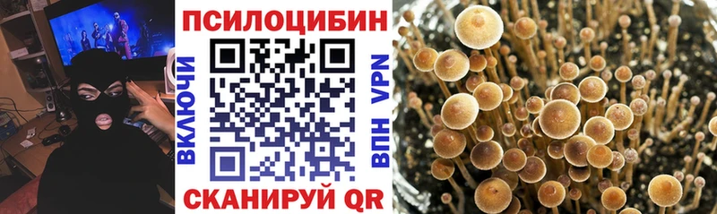 Галлюциногенные грибы мухоморы  Кирсанов 